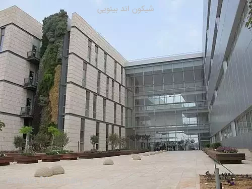 شیکون اند بینویی